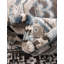 Tapis oriental gris Shanil-437763641