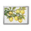 Ripe For Picks II - Peinture sur toile encadrée-1714637647-1714637640