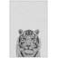 Tamed Tiger II - Floater Frame Print on Canvas-70494228