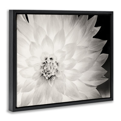 Strong Dahlia Petals Framed Floater Canvas Wall Art by Gail Peck