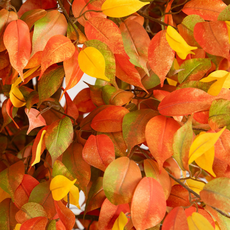 10ft. Autumn Ficus Artificial Fall Tree, 96" H x 40" W x 40" D, Orange