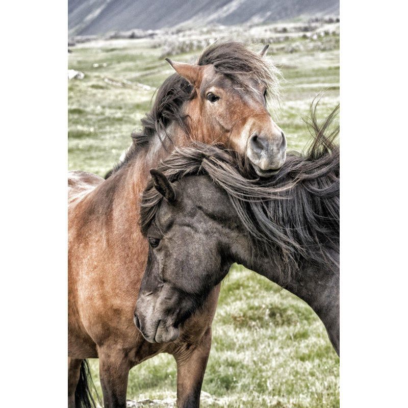Best Friends - Photograph, 76cm H x 51cm W, Black Floater Framed