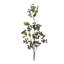 Jet de feuillage Blue Berry