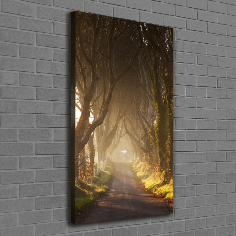 Citrus Fruits - Wrapped Canvas Print