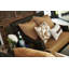 Somerby Outdoor Lounge Chair-15574514