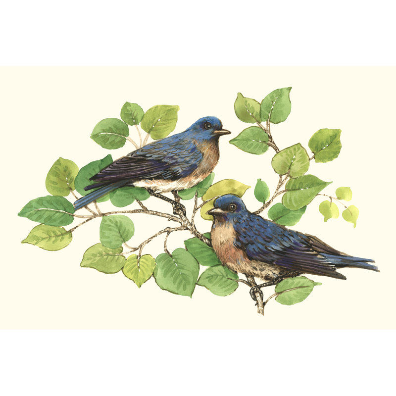 Song Birds I by Tim O'Toole - Wrapped Canvas Painting, 51cm H x 76cm W