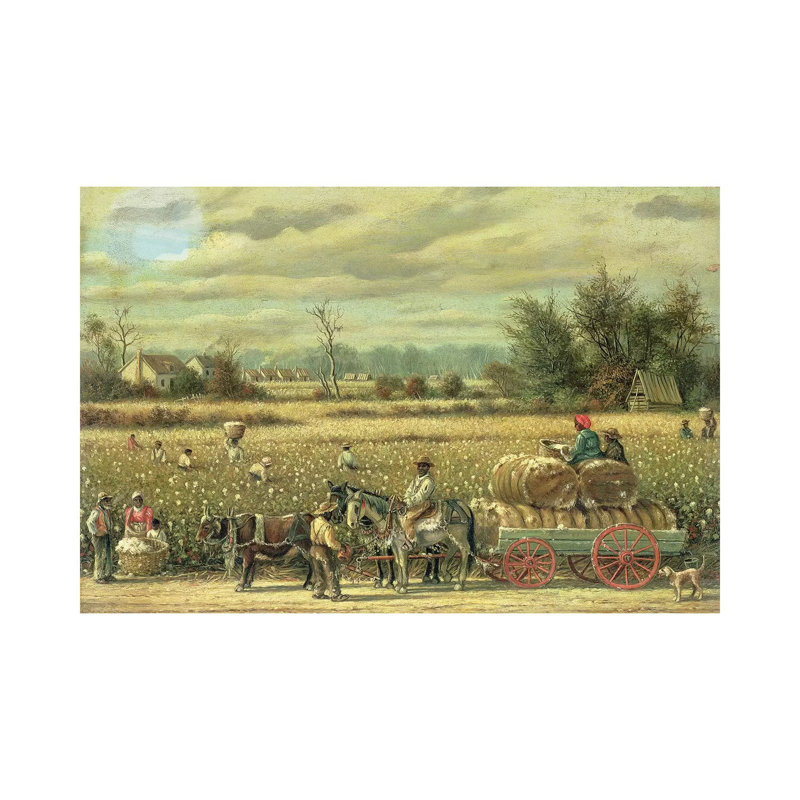 Picking Cotton - Gallery-Wrapped Canvas Giclée, 12" H x 18" W
