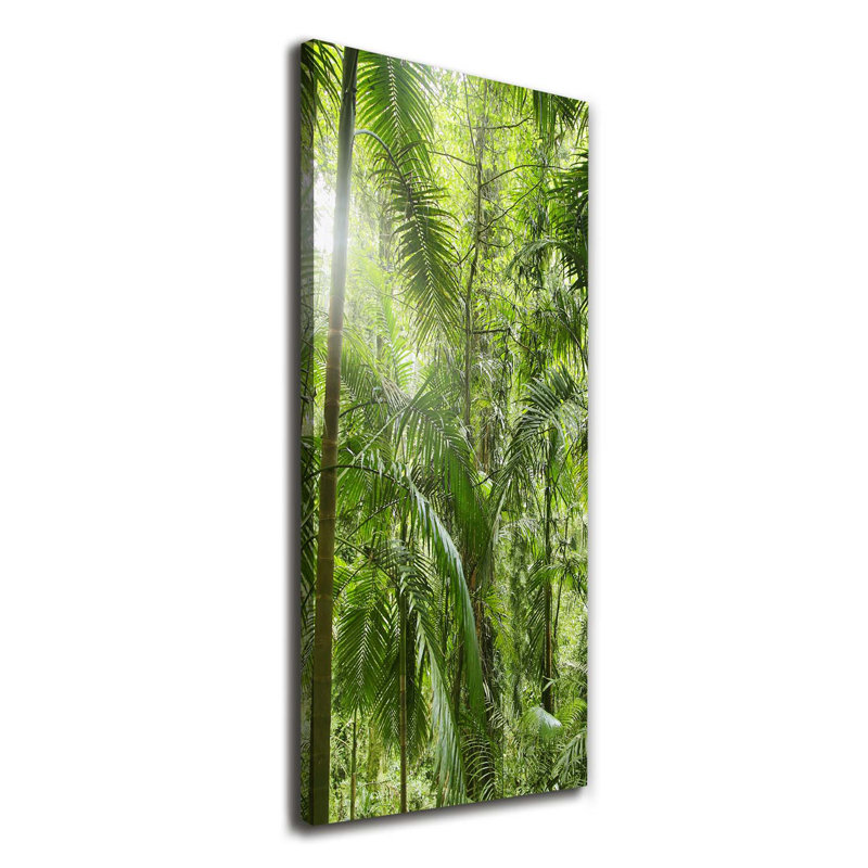 The Rainforest - Wrapped Canvas Print