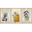 Illustration de pissenlit abstraite de style Mid-Century moderne bohème, images murales de salon moderne et chic, impression sur toile encadrée, ensemble de 16 pièces x 16 po x 3 pièces, 24 po x 36 po x 3 pièces-87392607-87392605-119390184