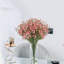 Fleurs, fleurs, bébés, buissons-396570838