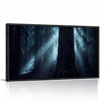 Dark Blue Forest Path With Giant Trees And Sunlight Canvas Wall Art