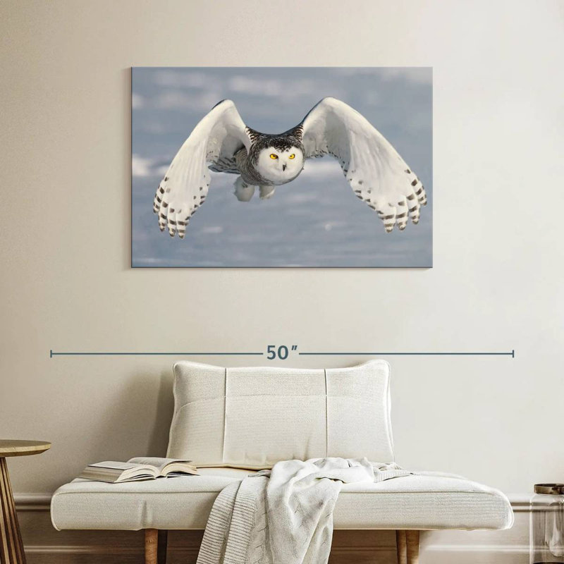 Brampt Owl In Winter, 26" H x 39" W