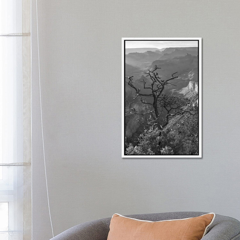 Tree, South Rim, Grand Canyon, Arizona by Tim Fitzharris - Gallery-Wrapped Canvas Giclée on Canvas, White Framed