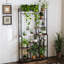 Plant Stand