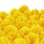 Arrangement de souci-1194958468