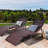 Hialmar Outdoor Chaise Lounge