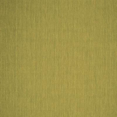 Indoor Rug