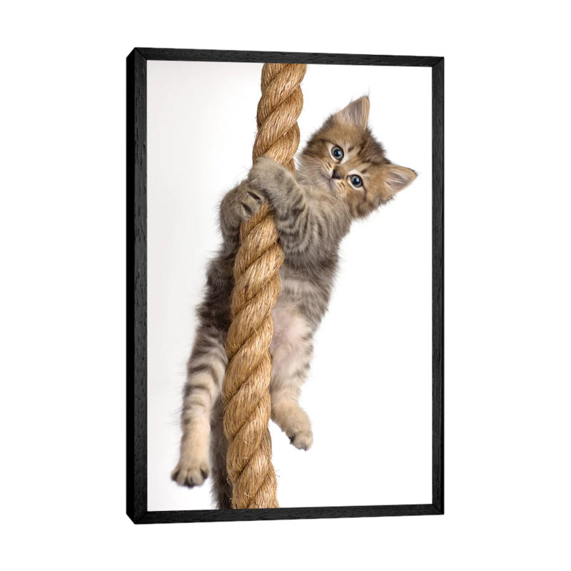Eric 1 Piece Wall Art on Canvas, 66.04 cm H x 45.72 cm W, Black Framed