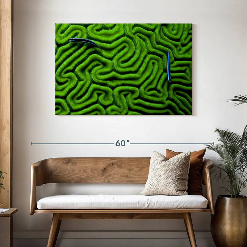 Corail vert Brampt, H 30 po x l 45 po