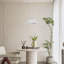 Unusual Pendant Light 1-Light Colbee