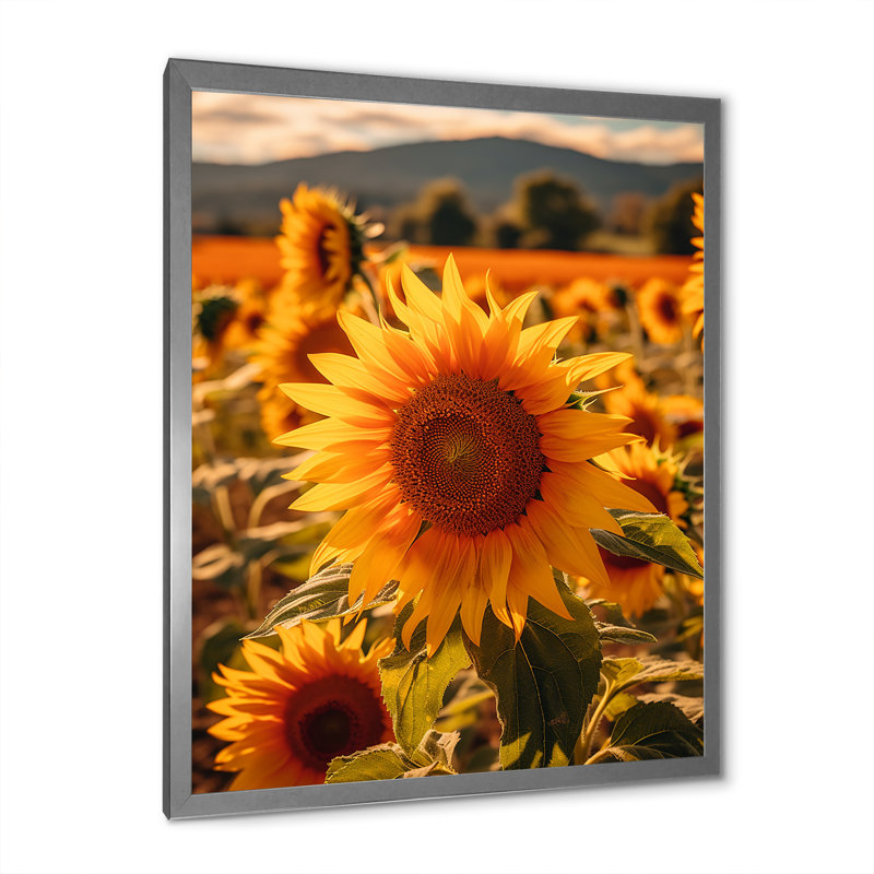 Tournesol doré au coucher du soleil I, H 20 po x l 12 po x P 1 po, Cadre photo argenté