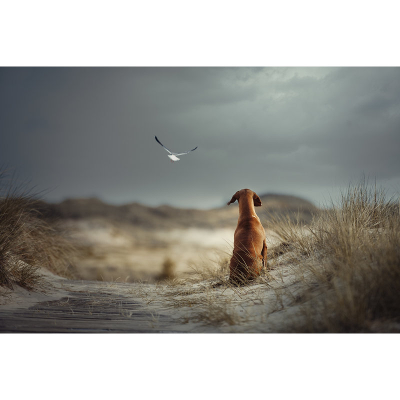 Wrapped Canvas Print, 50.8 cm H x 76.2 cm W