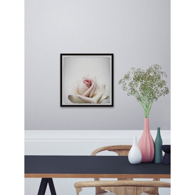 White Rose Close-Up - Single Picture Frame Painting