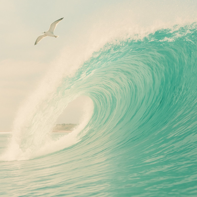 Impression sur toile Freedom Curl - Vague d'océan et mouette, H 20 po x l 20 po