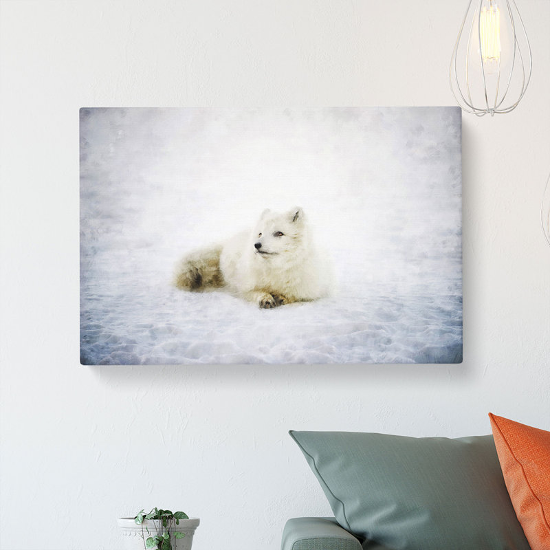 Resting Arctic Fox - Wrapped Canvas, 50cm H x 76cm W x 3cm D