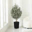 Adcock Faux Olive Tree with UV Protection, 2 Natural Tree Trunks, Large Decorative Potted Olive Tree-307165304-307165307