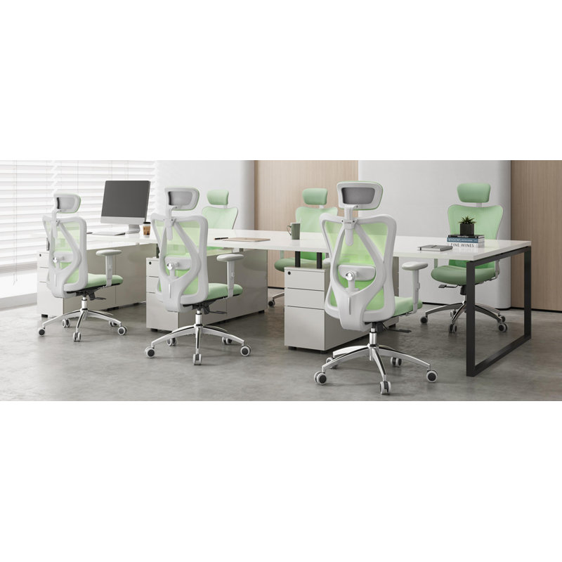 Ashendon Ergonomic Mesh Office Chair with Adjustable Lumbar Support and Padded Armrests for 300lbs, Green