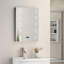 Maia Glass Rectangle Wall Mirror