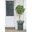 Berenice Handmade Pot Planter-14486351-48478046