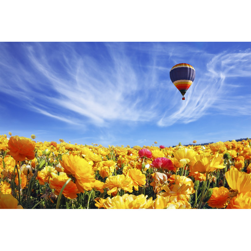 The Huge Field Of White And Orange Buttercups - Wrapped Canvas Print, 61cm H x 91cm W