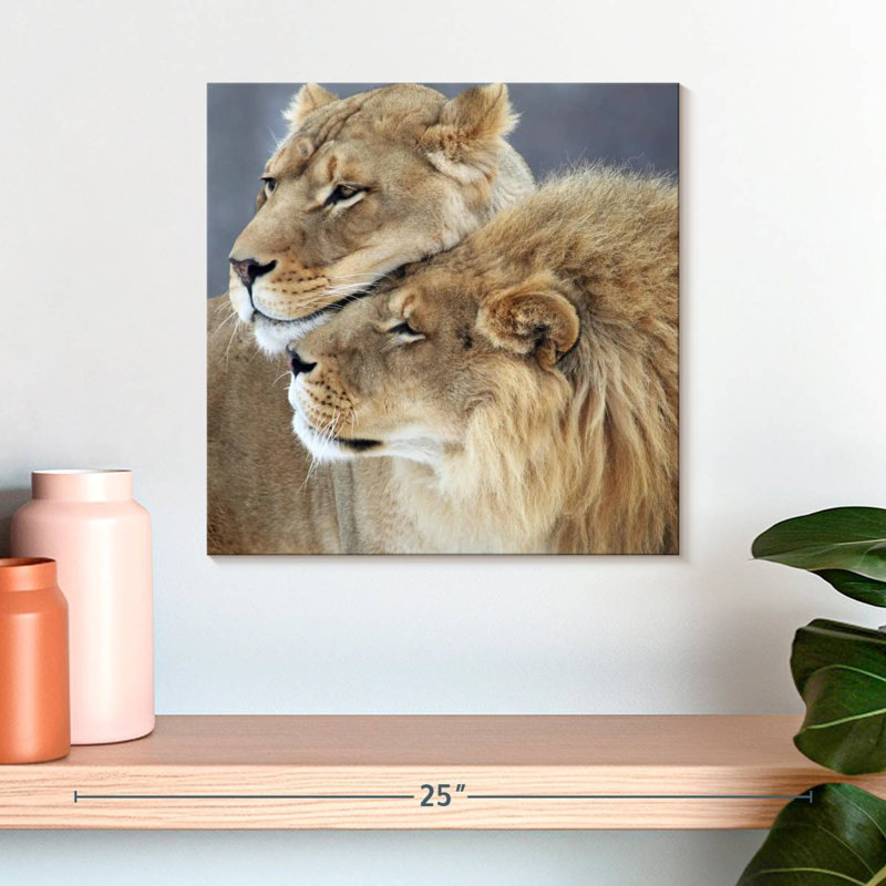 Amour de lion et de lionne Brampt, H 16 po x l 16 po