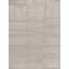 Area Rug in Gray