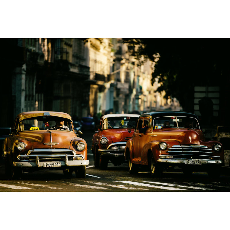 Wrapped Canvas Print, 50.8 cm H x 76.2 cm W