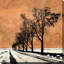 «Minimalist Dream», reproduction-31936886-31476810