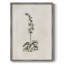 Impression florale vintage encadrée CECXIX - bois massif-1799227202