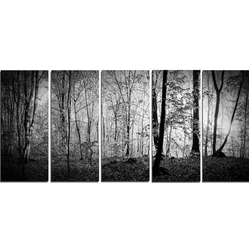 « belle forest matinée panorama », reproduction de photo à multiples images sur toile