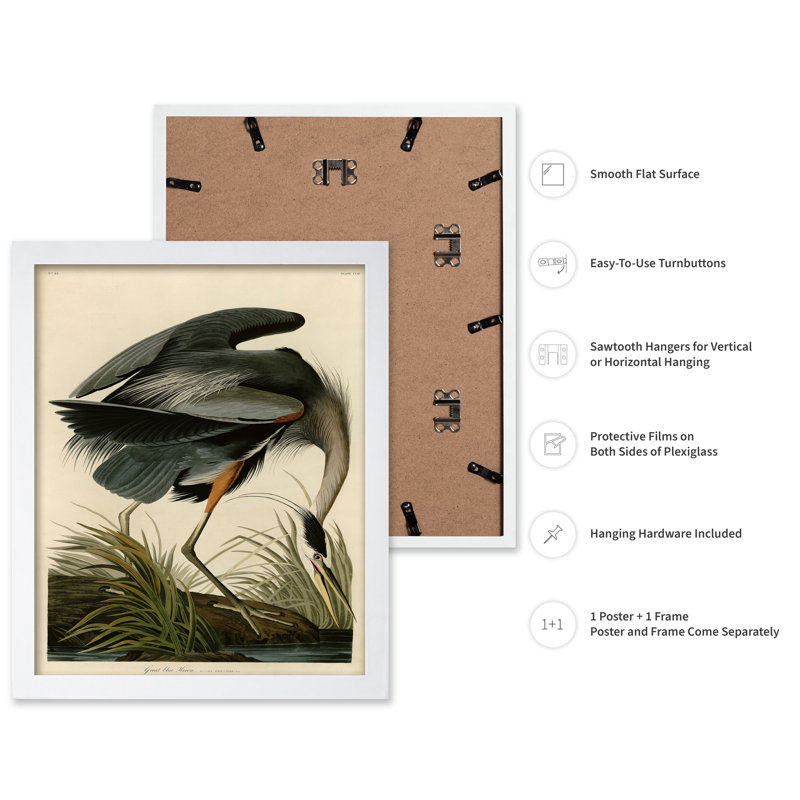 John James Audubon - Grand héron bleu, Poster, White Framed, 08"H x 10"W