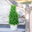 Faux Dracaena Plant-1861991715