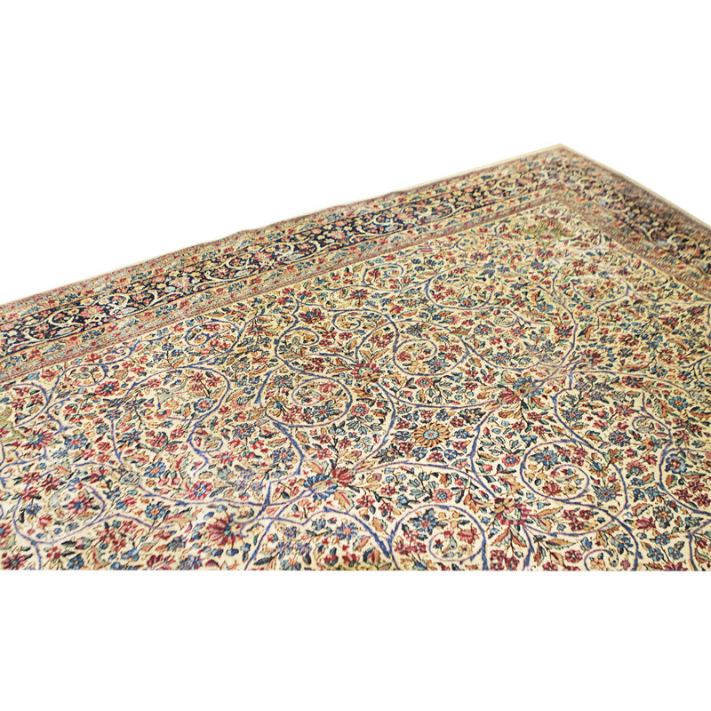 Hand Knotted Cotton Area Rug in Ivory And Navy