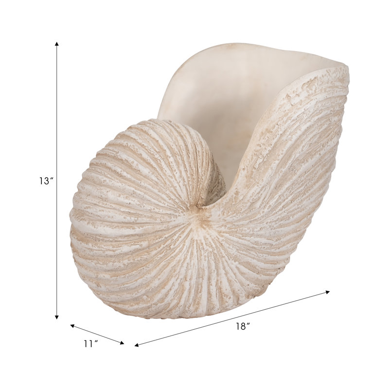 shell ornamnet