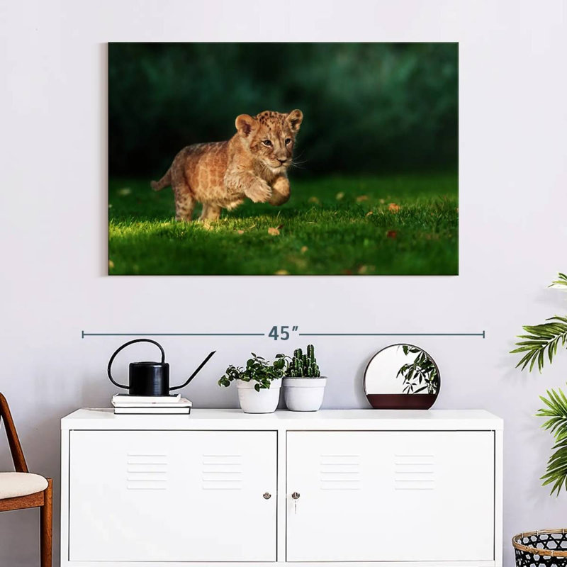 Brampt Frolicking Baby Wild Cat