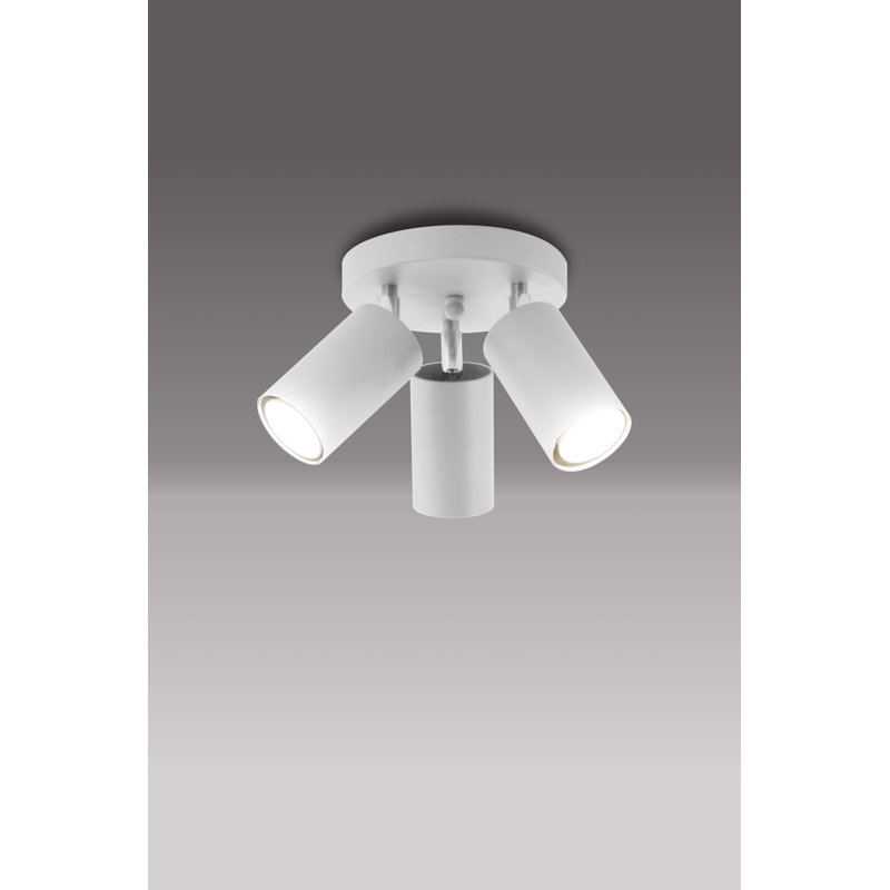 Caulksville Spotlight, White