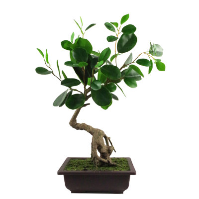 Anlin 50cm Faux Bonsai Tree in Pot