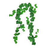 Real Touch Grape Leaf Garland