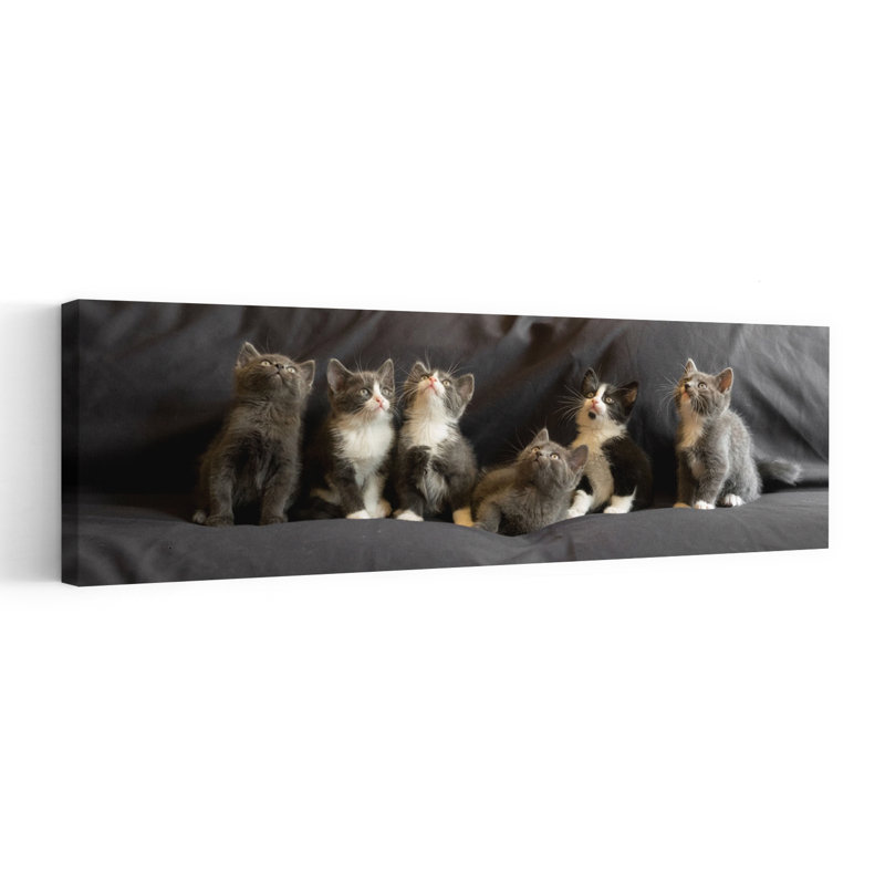 Six chatons curieux, art mural contemporain, H 48 po x l 16 po