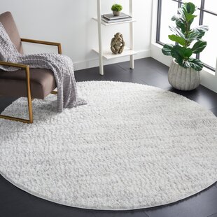 https://assets.wfcdn.com/im/87221145/resize-h310-w310%5Ecompr-r85/1670/167039376/presler-flatweave-performance-rug.jpg